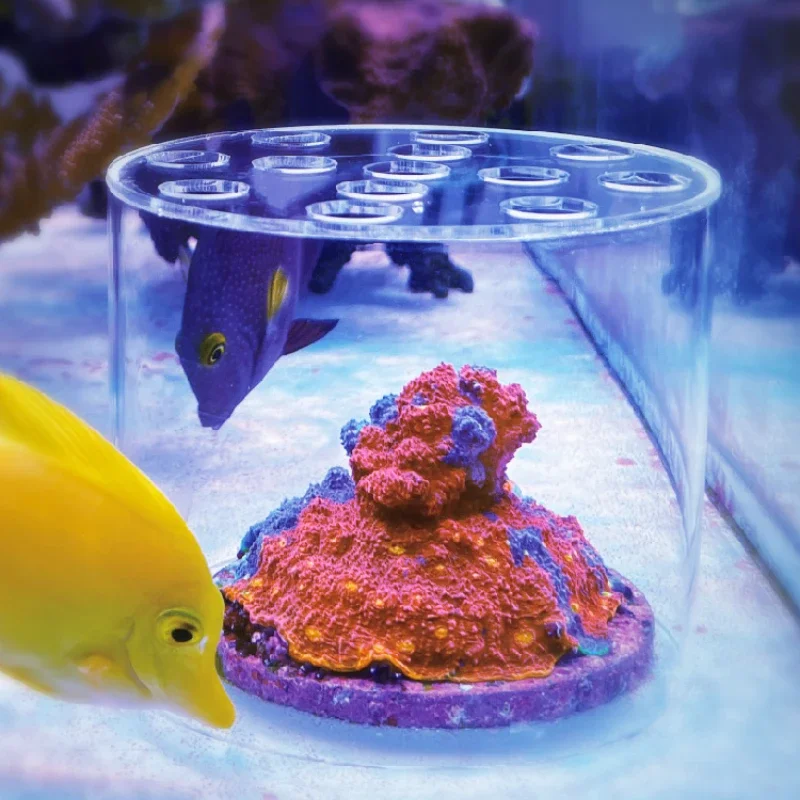 Aquarium Fish Food - Vastocean Aquarium Arcylic Coral Feeder Hood