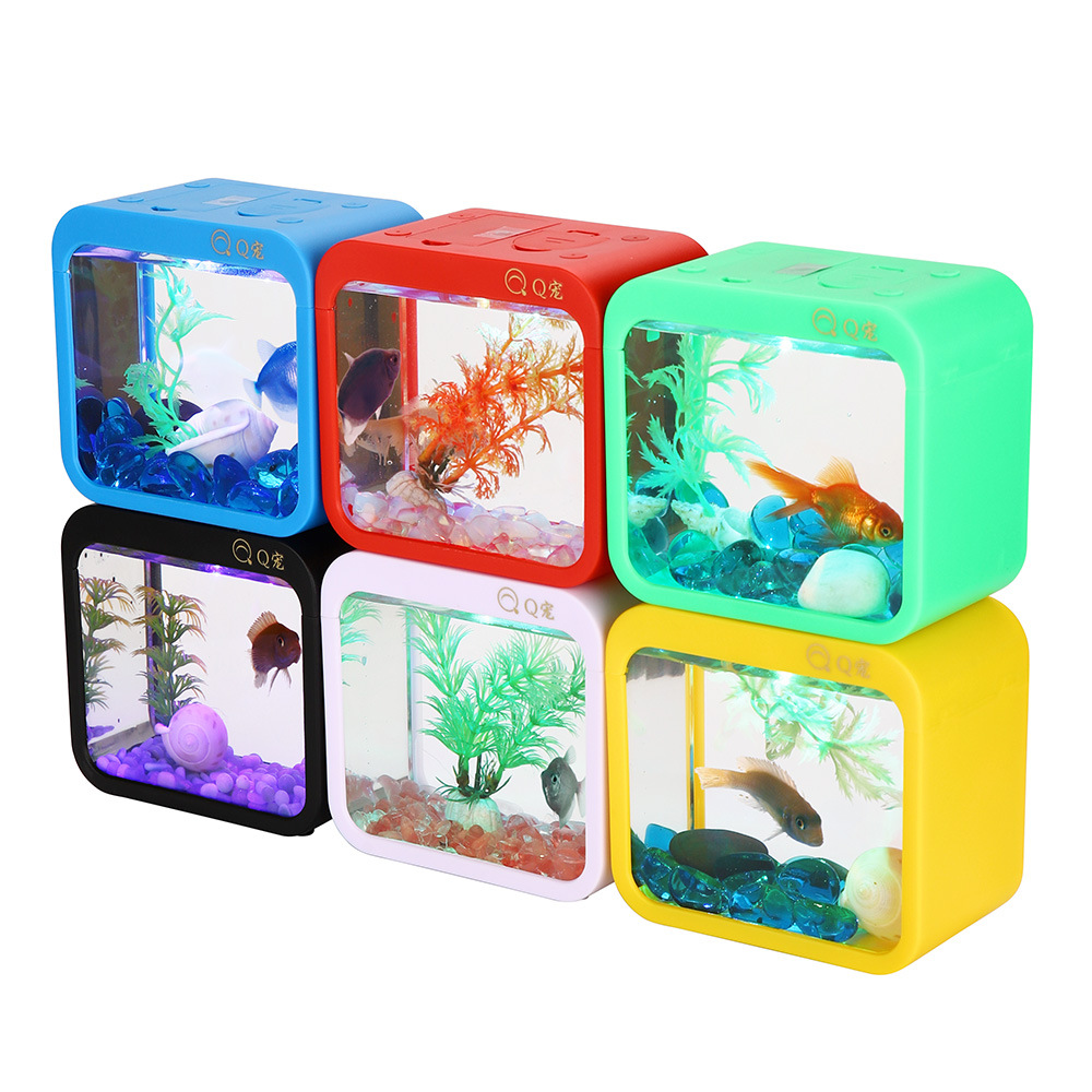 Colorful Creative Betta Box Wi - Aquarium Fish Jar ulasan dan harga
