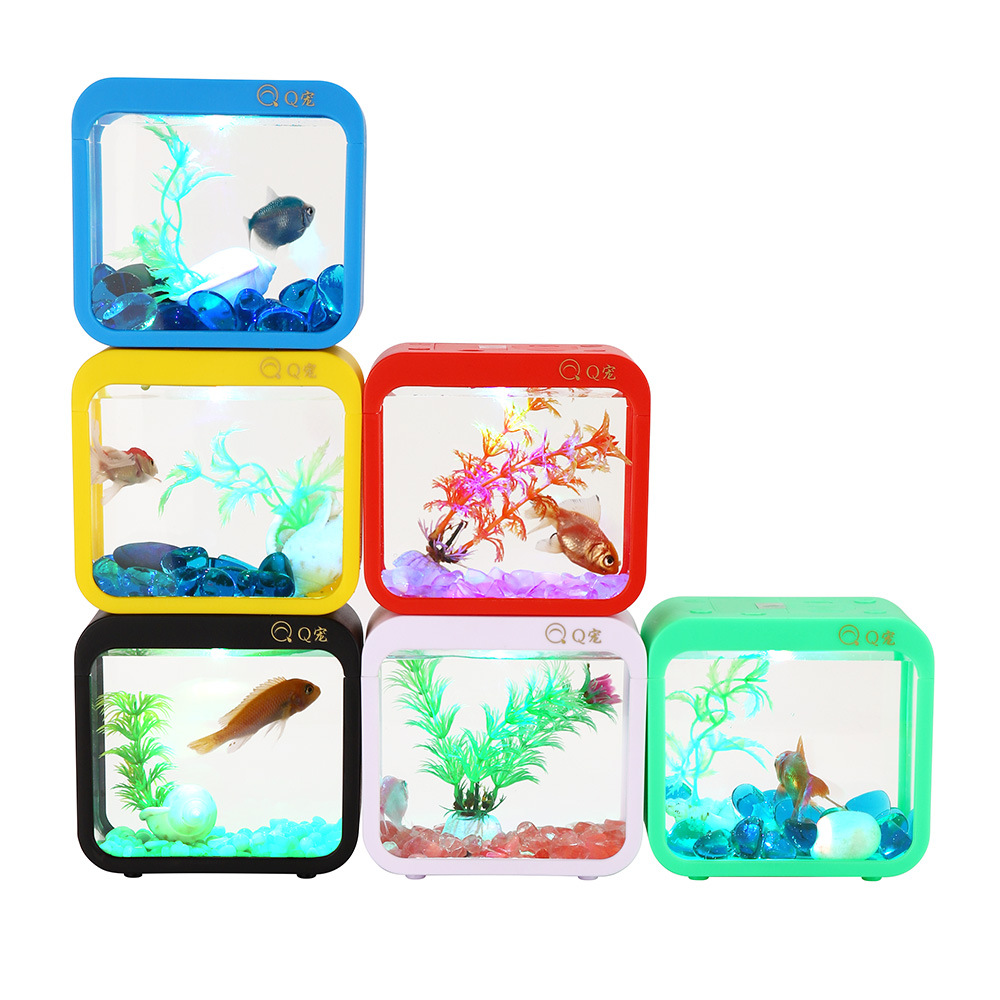 Colorful Creative Betta Box Wi - Aquarium Fish Jar ulasan dan harga