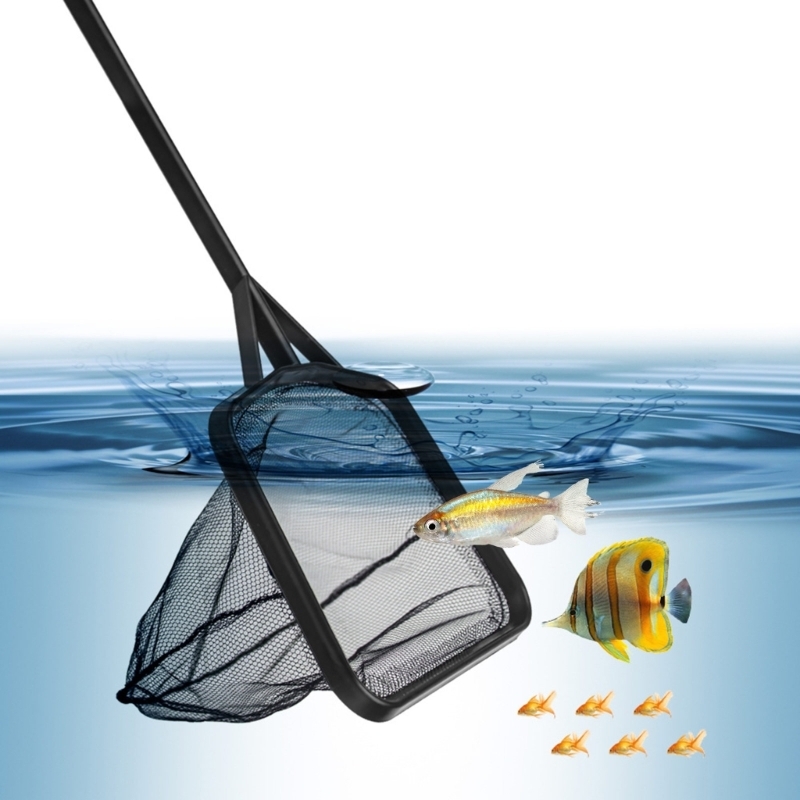 Multiple Length Handle Fishing - Fish Net Handle ulasan dan harga