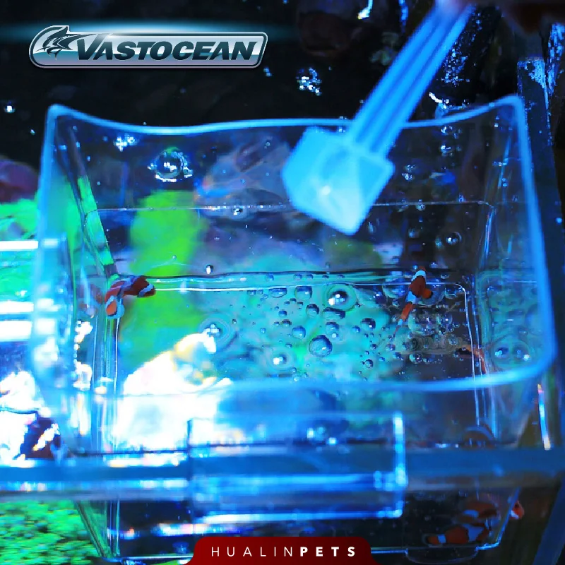 Vastocean Aquarium Multifuncti - Aquarium Fish Jar ulasan dan harga