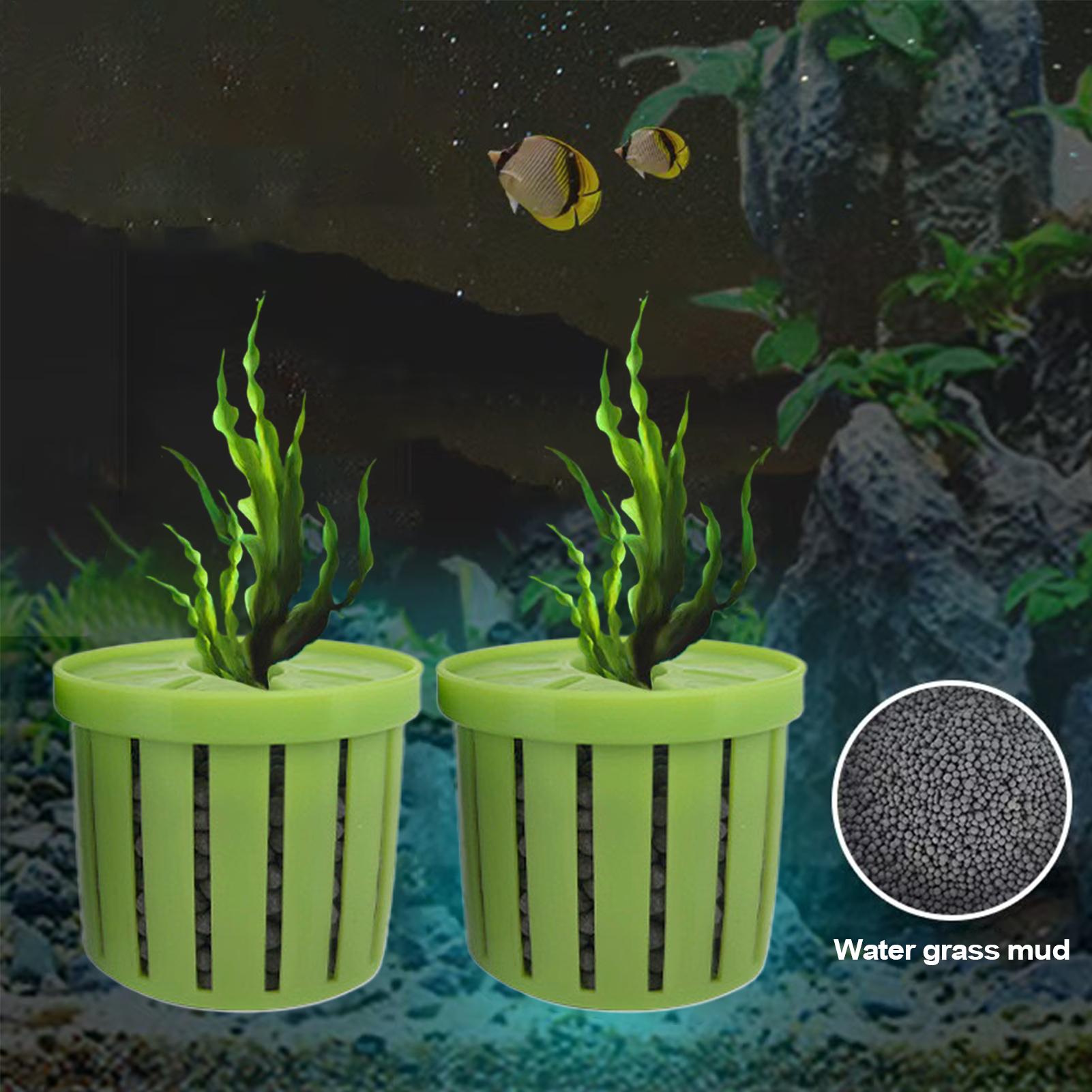 Stable Fish Tank Plant Cup 4pc - Aquarium Fish Restaurant ulasan dan harga