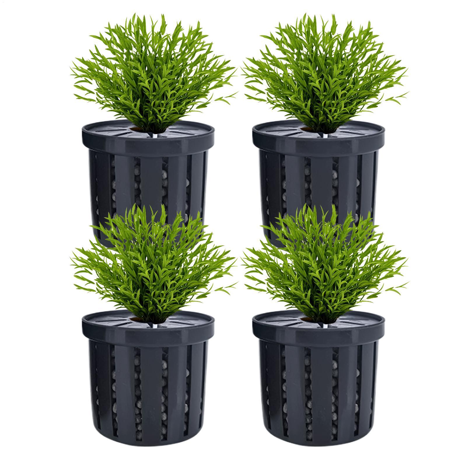 Stable Fish Tank Plant Cup 4pc - Aquarium Fish Restaurant ulasan dan harga