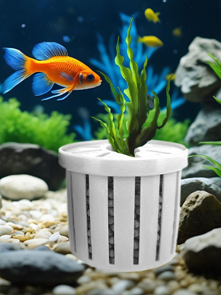 Stable Fish Tank Plant Cup 4pc - Aquarium Fish Restaurant ulasan dan harga