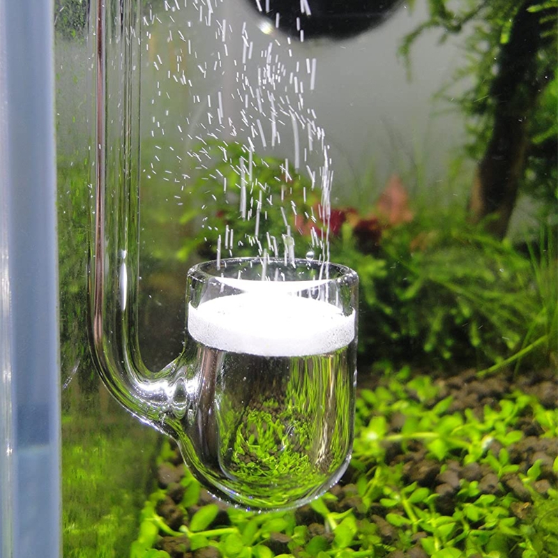 D0AD Glass CO2 Diffuser for Aq - Co2 Diffuser Planted ulasan dan harga