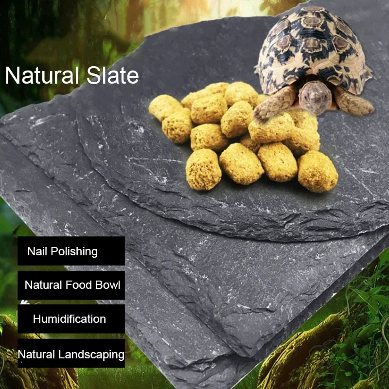 Natural Slate Aquarium Pet Rep - Aquarium Fish Pot ulasan dan harga