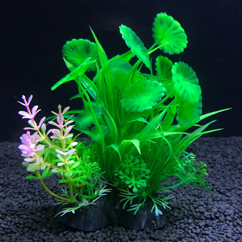 Aquarium decoration a variety  - Aquarium Fish Variety ulasan dan harga