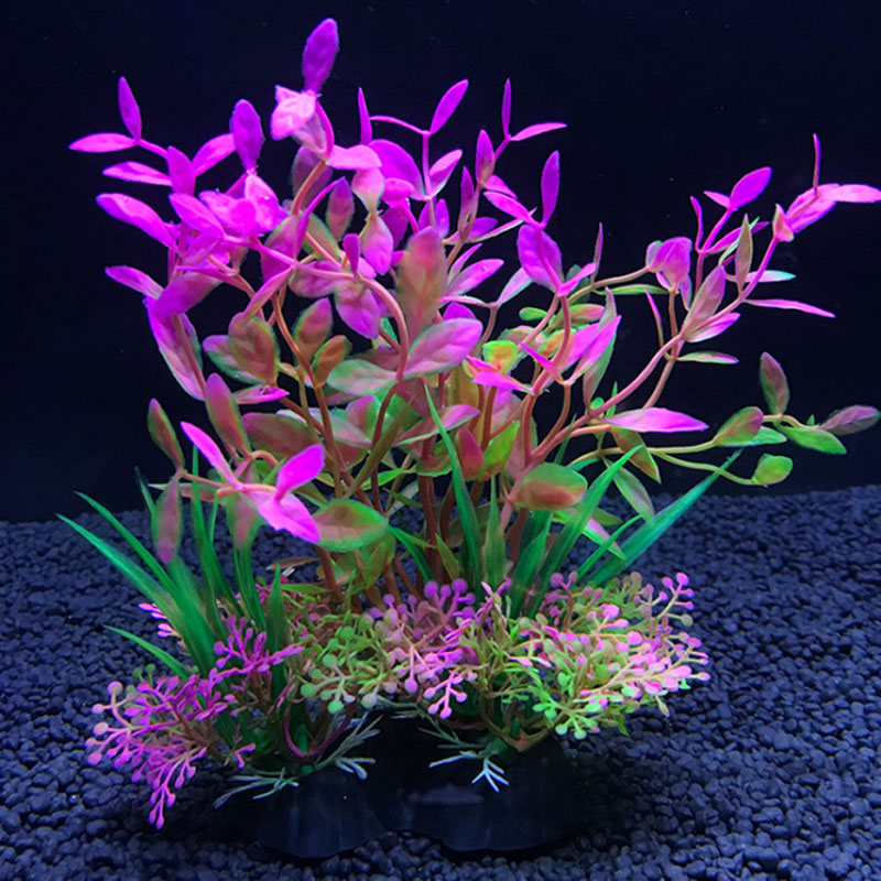 Aquarium decoration a variety  - Aquarium Fish Variety ulasan dan harga