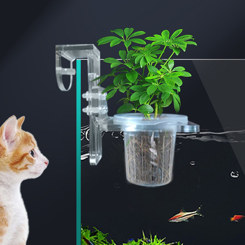 Fish Tank Planting Cups Hydrop - Aquarium Fish Pot ulasan dan harga