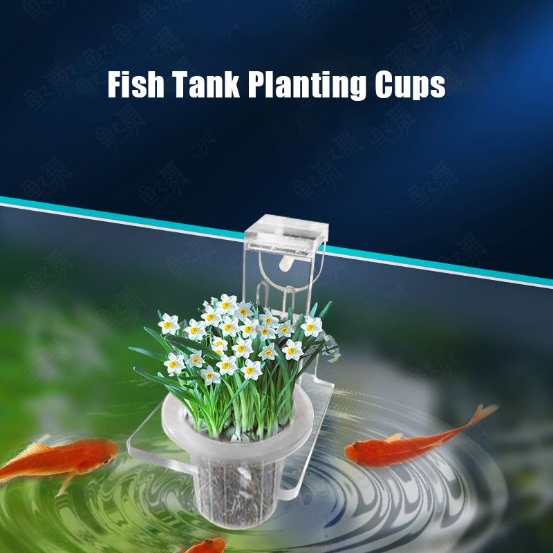 Fish Tank Planting Cups Hydrop - Aquarium Fish Pot ulasan dan harga
