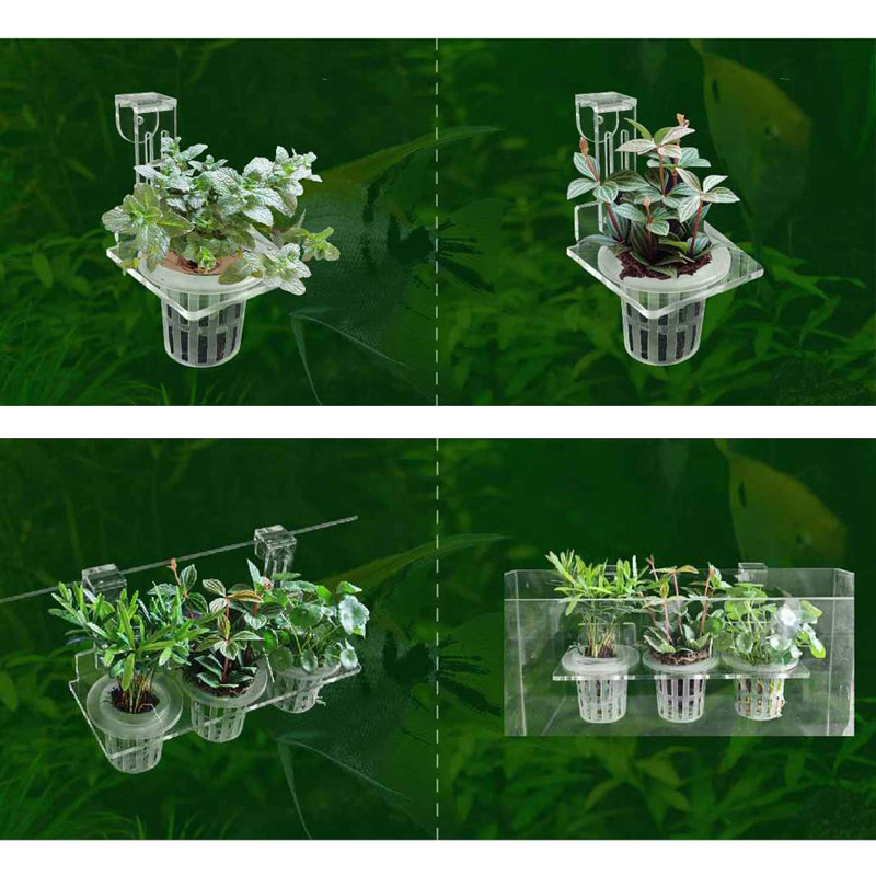 Fish Tank Planting Cups Hydrop - Aquarium Fish Pot ulasan dan harga
