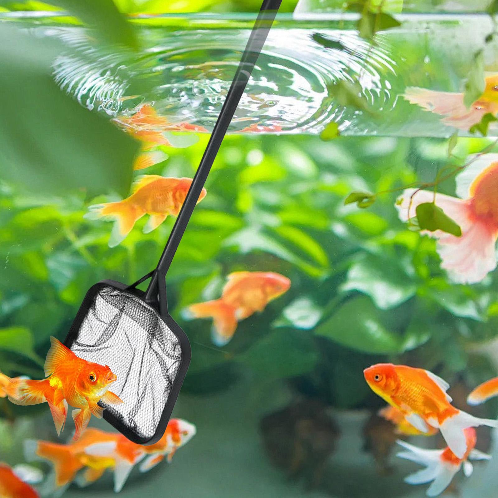 Pool Nets for Cleaning Portabl - Aquarium Fish Accessories ulasan dan harga
