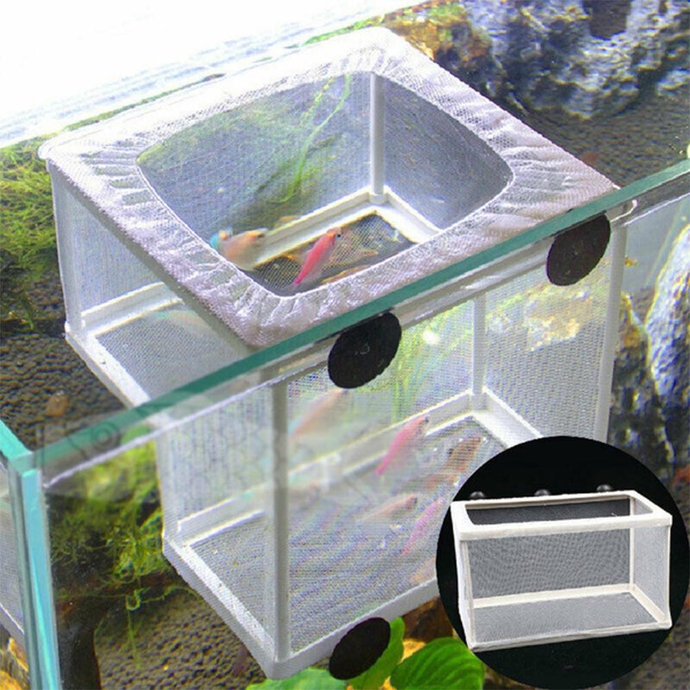 Aquarium Fish Breeder Box with - Aquarium Fish Jar ulasan dan harga
