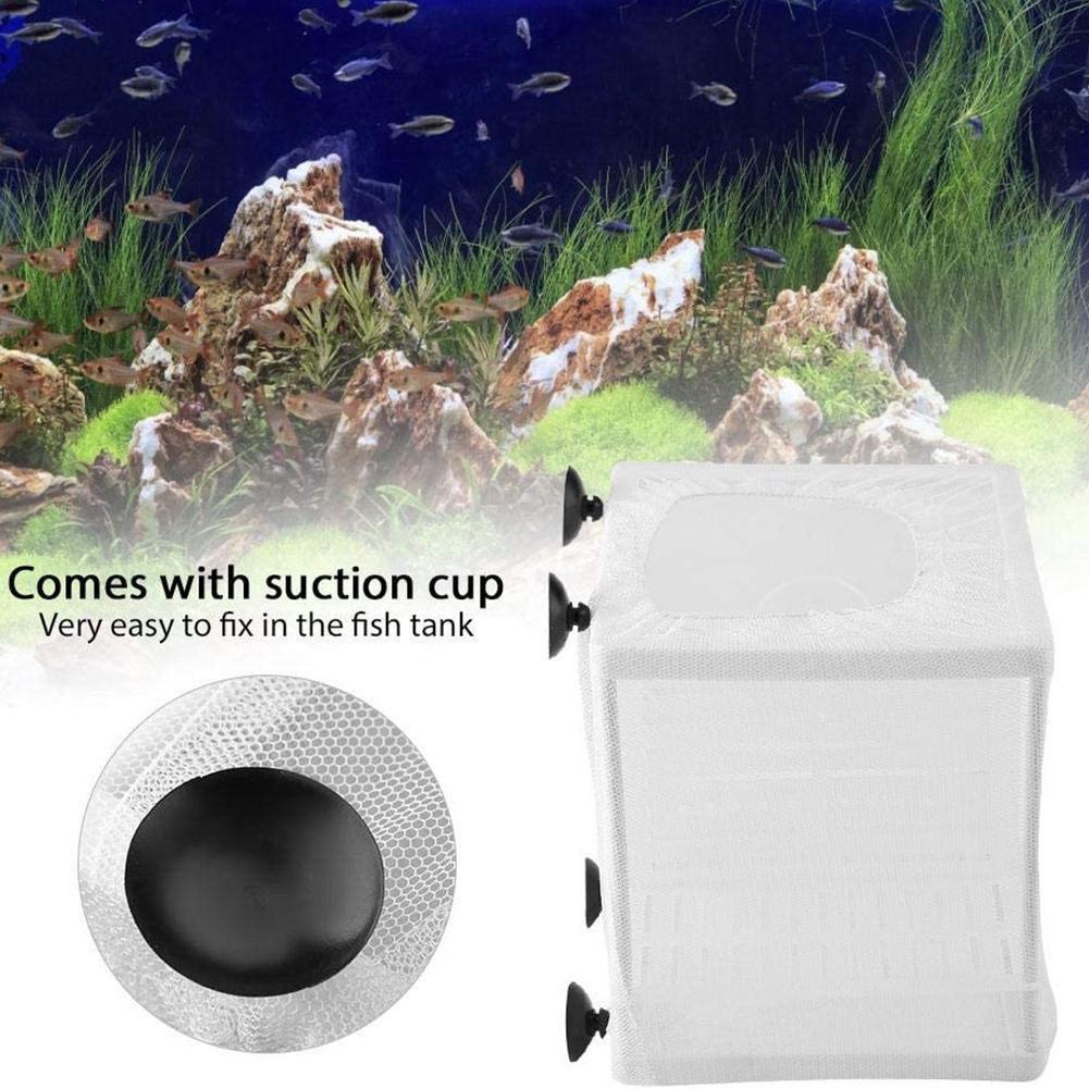 Aquarium Fish Breeder Box with - Aquarium Fish Jar ulasan dan harga