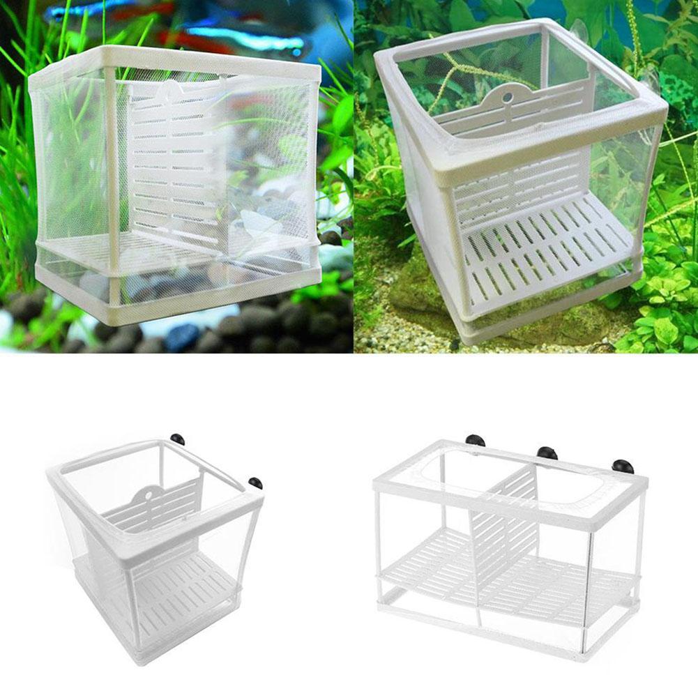 Aquarium Fish Breeder Box with - Aquarium Fish Jar ulasan dan harga