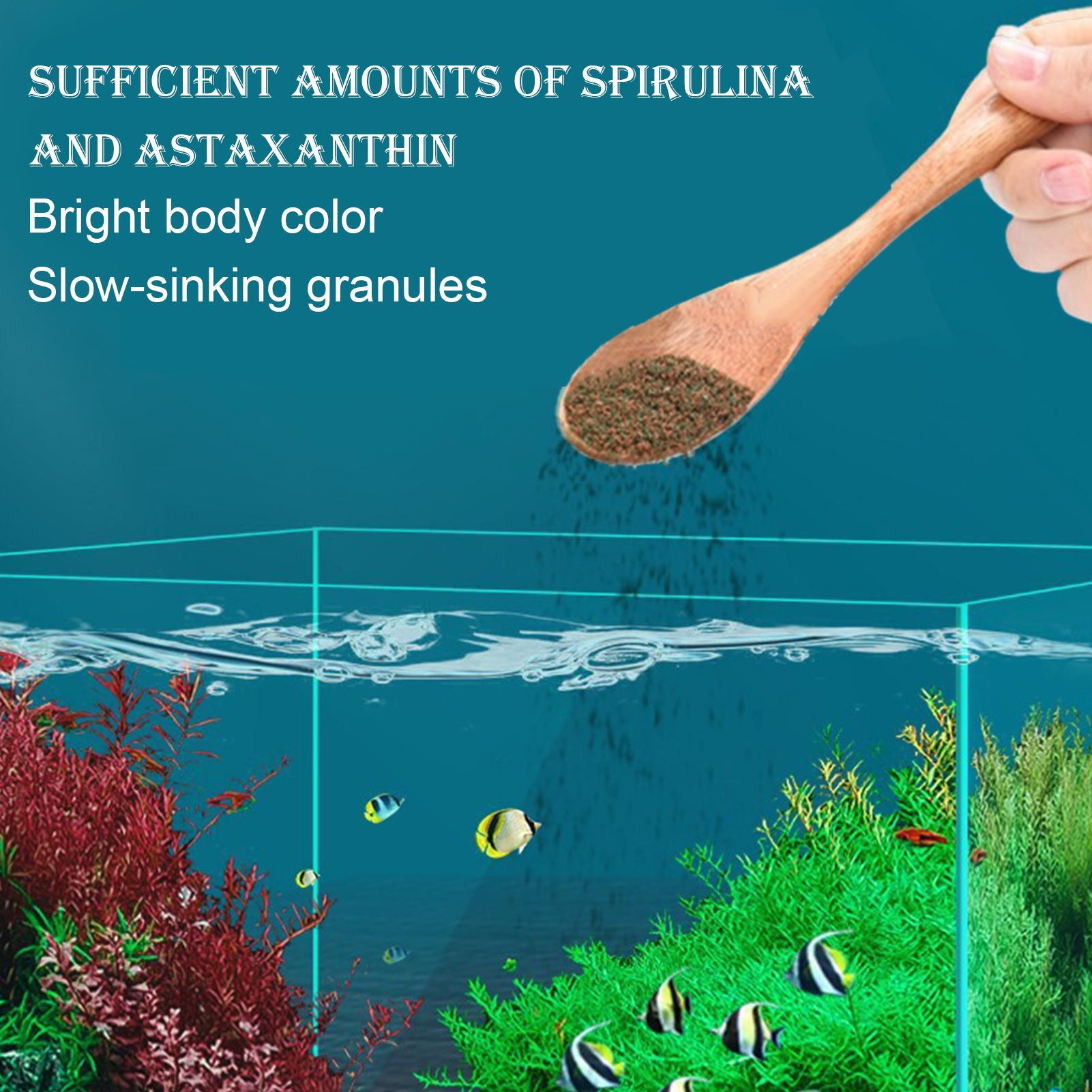 Betta Feed Ornamental Fish Foo - Aquarium Fish Restaurant ulasan dan harga