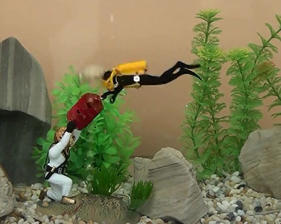 Hot Aquarium Decoration Unders - Aquarium Fish Gif ulasan dan harga