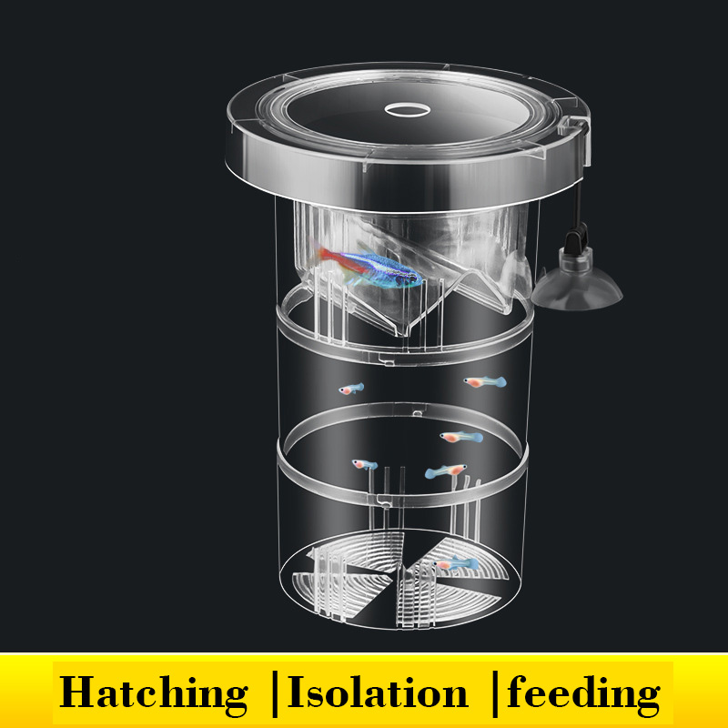 Floating Fish Breeding Isolati - Aquarium Fish Accessories ulasan dan harga