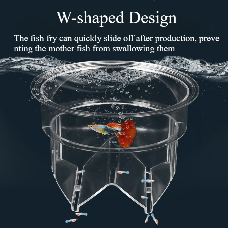 Floating Fish Breeding Isolati - Aquarium Fish Accessories ulasan dan harga