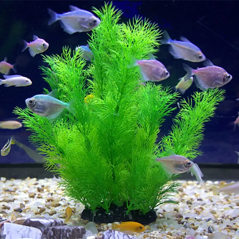 Artificial Aquarium Decor Plan - Aquarium Fish Games ulasan dan harga
