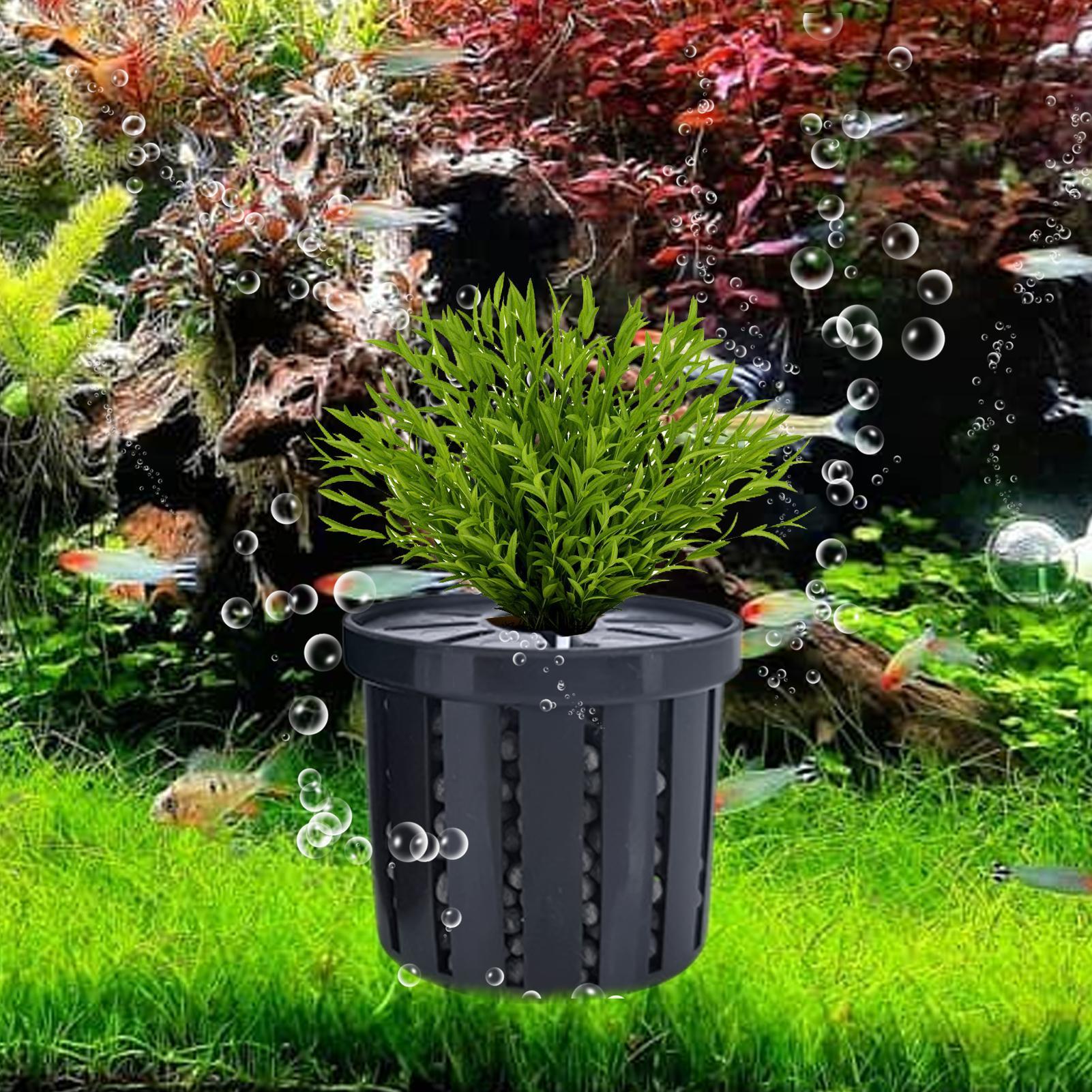 4pcs Aquarium Plant Holder Bas - Aquarium Fish Restaurant ulasan dan harga