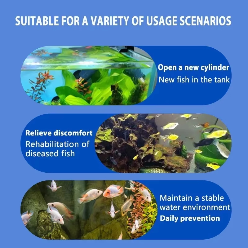 SIKEZHAN Fish Disease Treatmen - Aquarium Fishing ulasan dan harga
