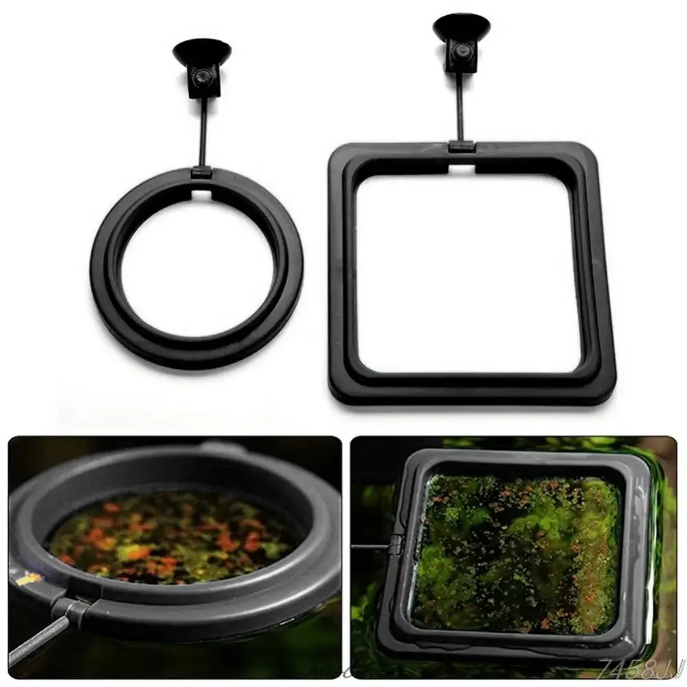 Feed Suction Cup Aquarium Feed - Aquarium Fish Food ulasan dan harga