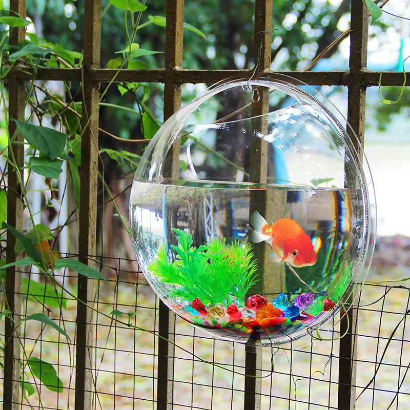 Pinsjar Acrylic Fish Bowl Wall - Aquarium Fish Jar ulasan dan harga