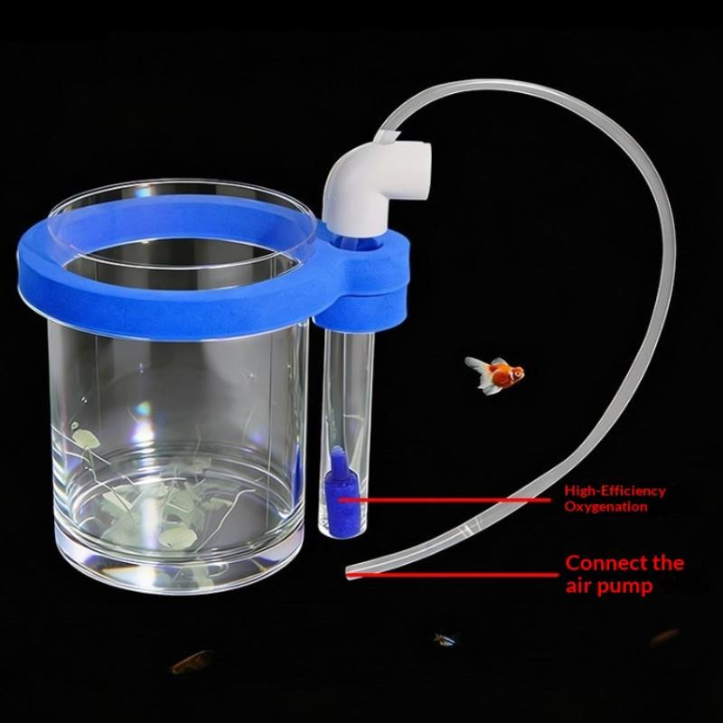 Transparent Acrylic Fish Breed - Aquarium Fish Jar ulasan dan harga