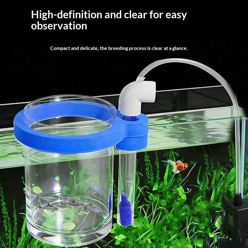 Transparent Acrylic Fish Breed - Aquarium Fish Jar ulasan dan harga
