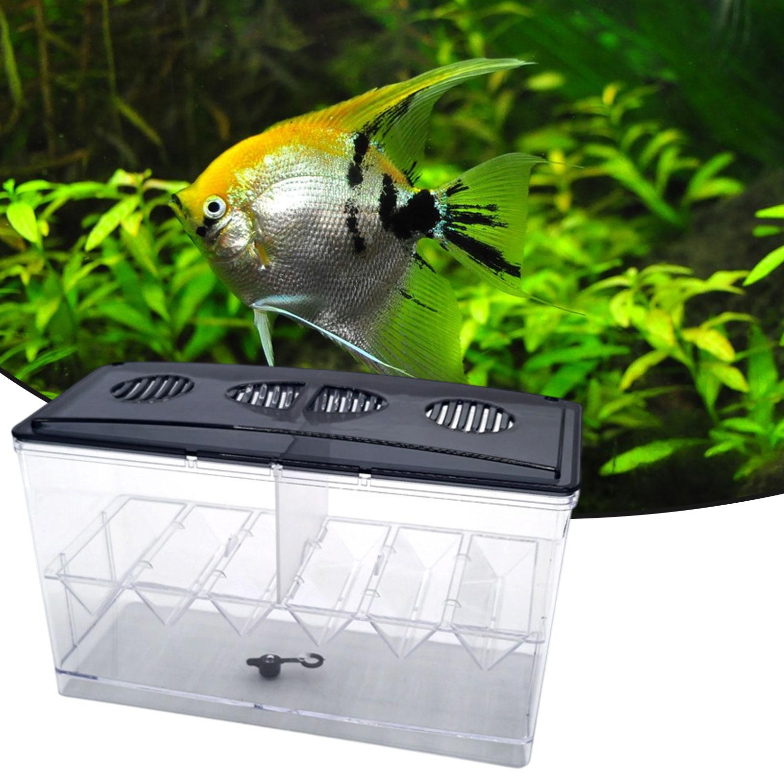 Floating Fish Breeding Isolati - Aquarium Fish Jar ulasan dan harga