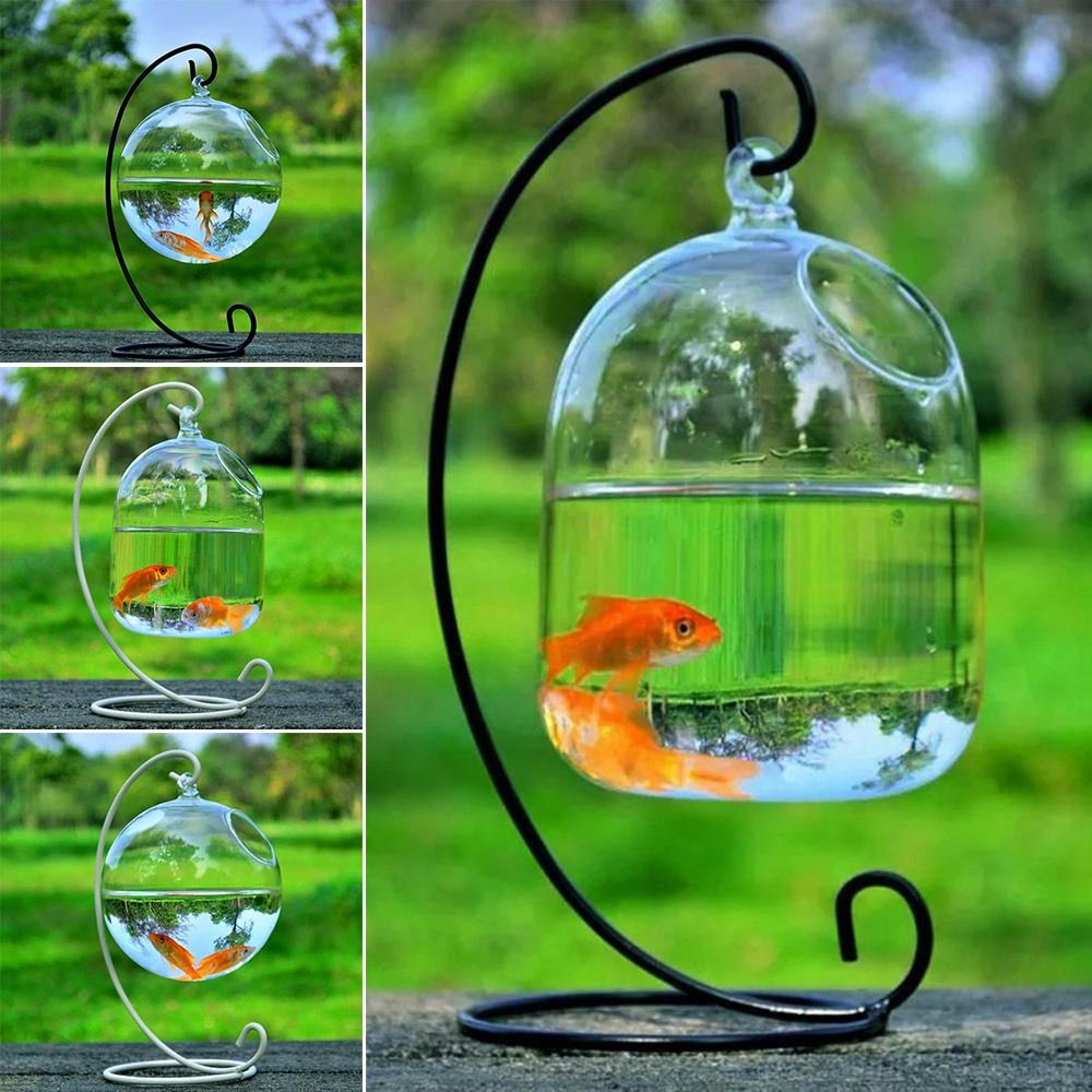 Aquarium Decoration Wall Hangi - Aquarium Fish Jar ulasan dan harga