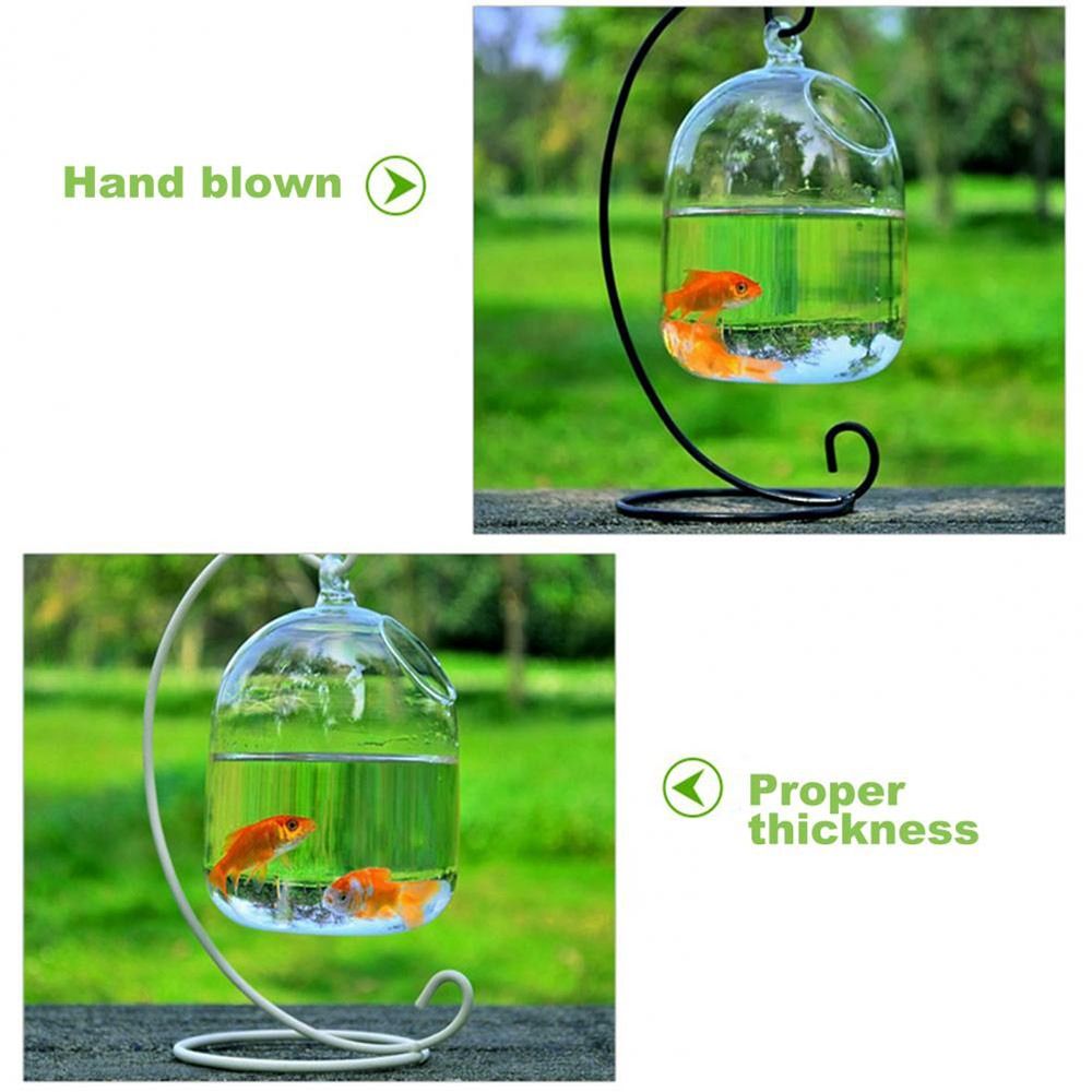 Aquarium Decoration Wall Hangi - Aquarium Fish Jar ulasan dan harga