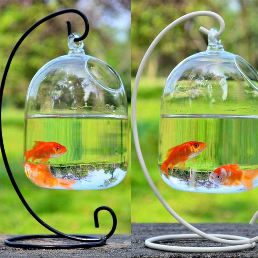 Aquarium Decoration Wall Hangi - Aquarium Fish Jar ulasan dan harga