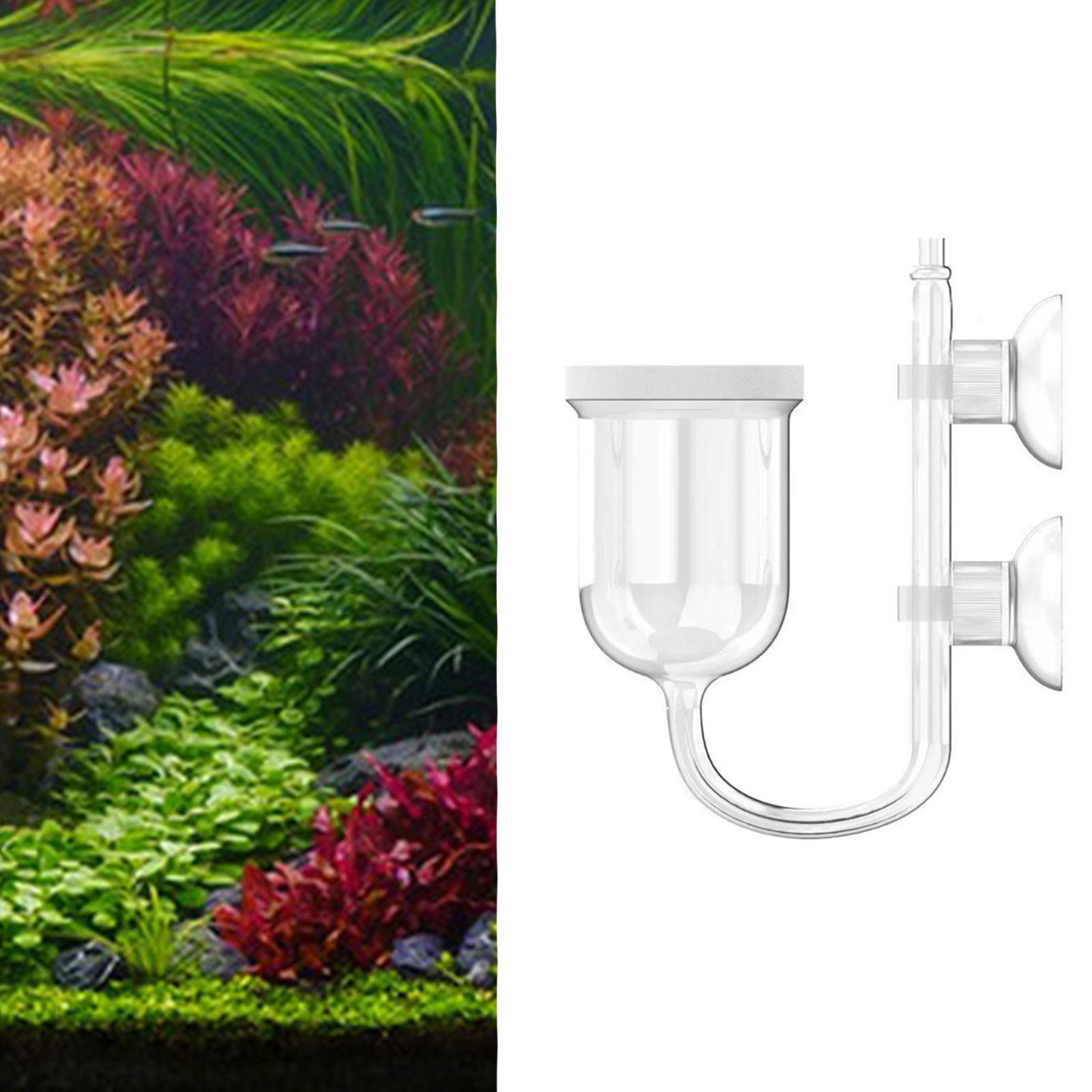 Aquarium CO2 Diffuser Clear Gl - Co2 Diffuser Planted ulasan dan harga