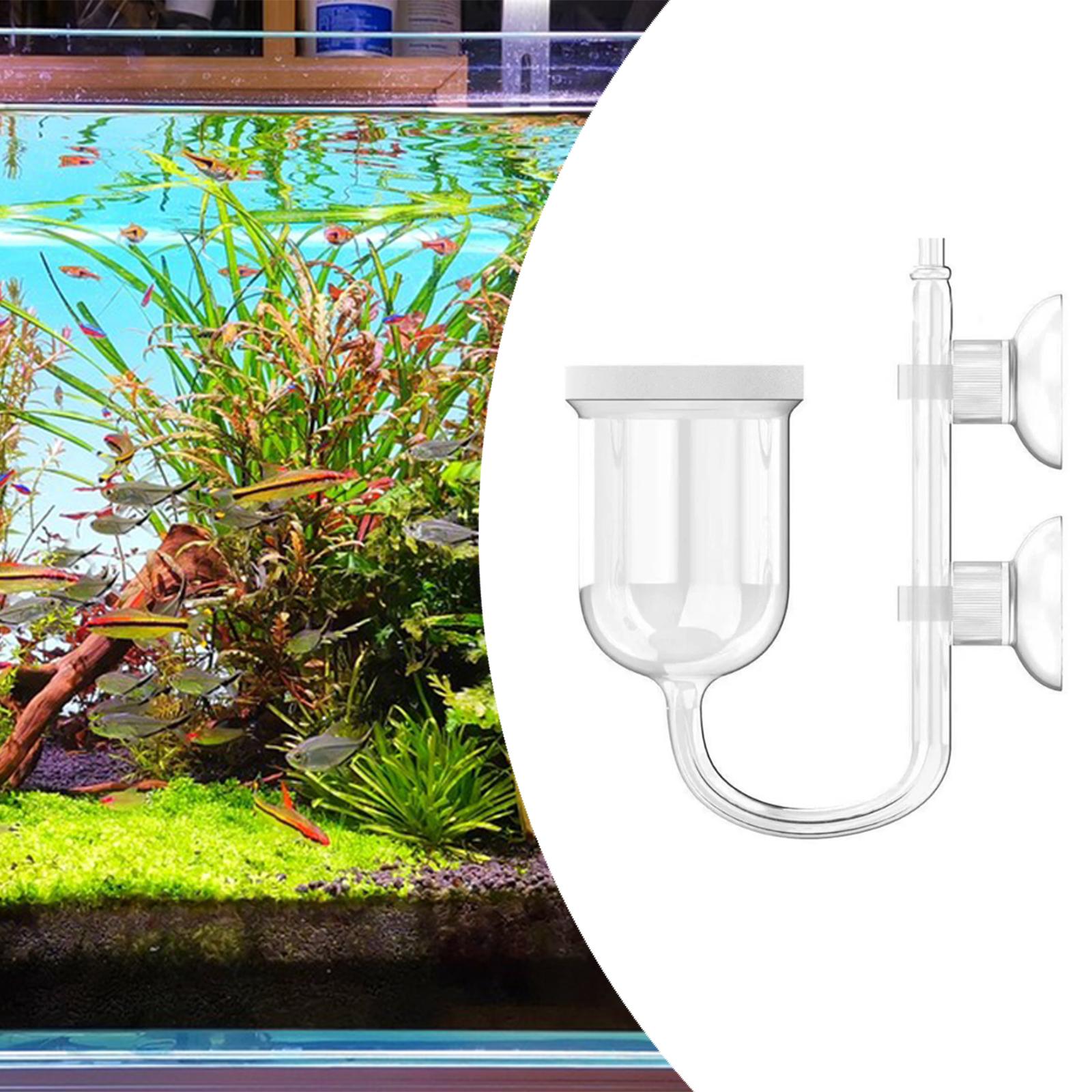 Aquarium CO2 Diffuser Clear Gl - Co2 Diffuser Planted ulasan dan harga