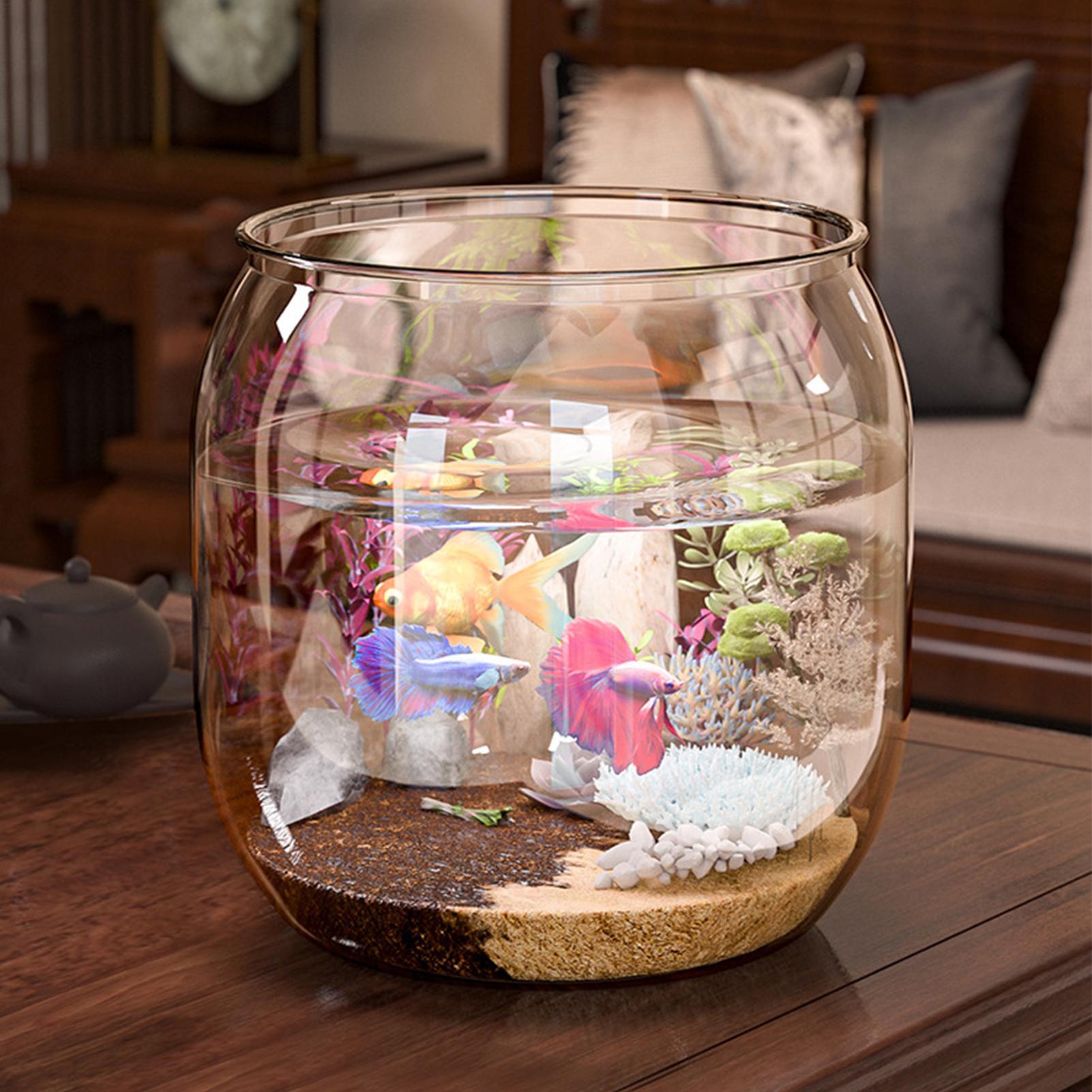 Mini Fish Bowl Decorative Clea - Aquarium Fish Restaurant ulasan dan harga