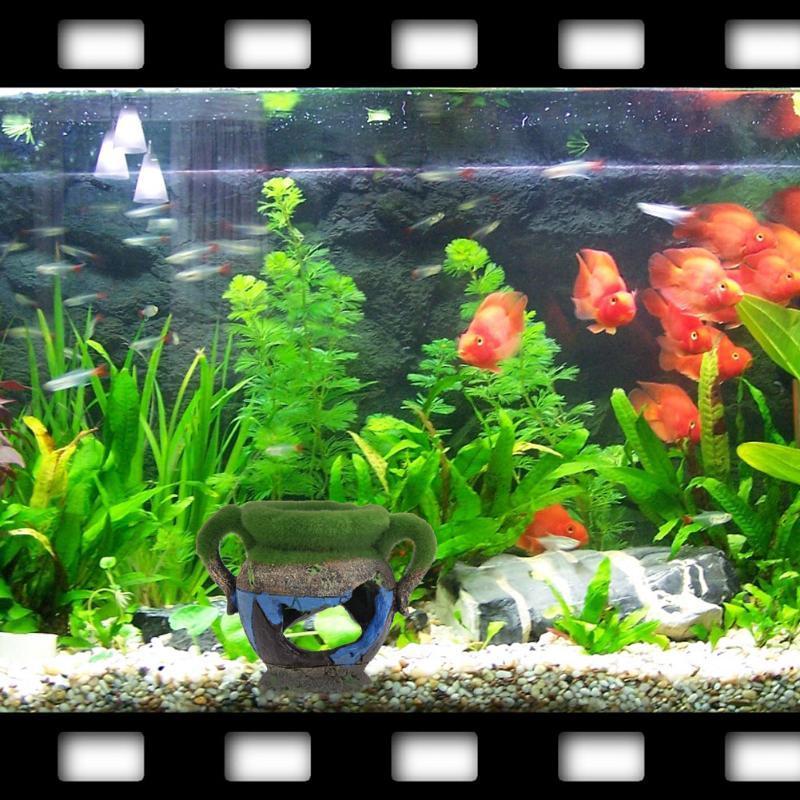 1pc Resin Vase with Moss Aquar - Aquarium Fish Games ulasan dan harga