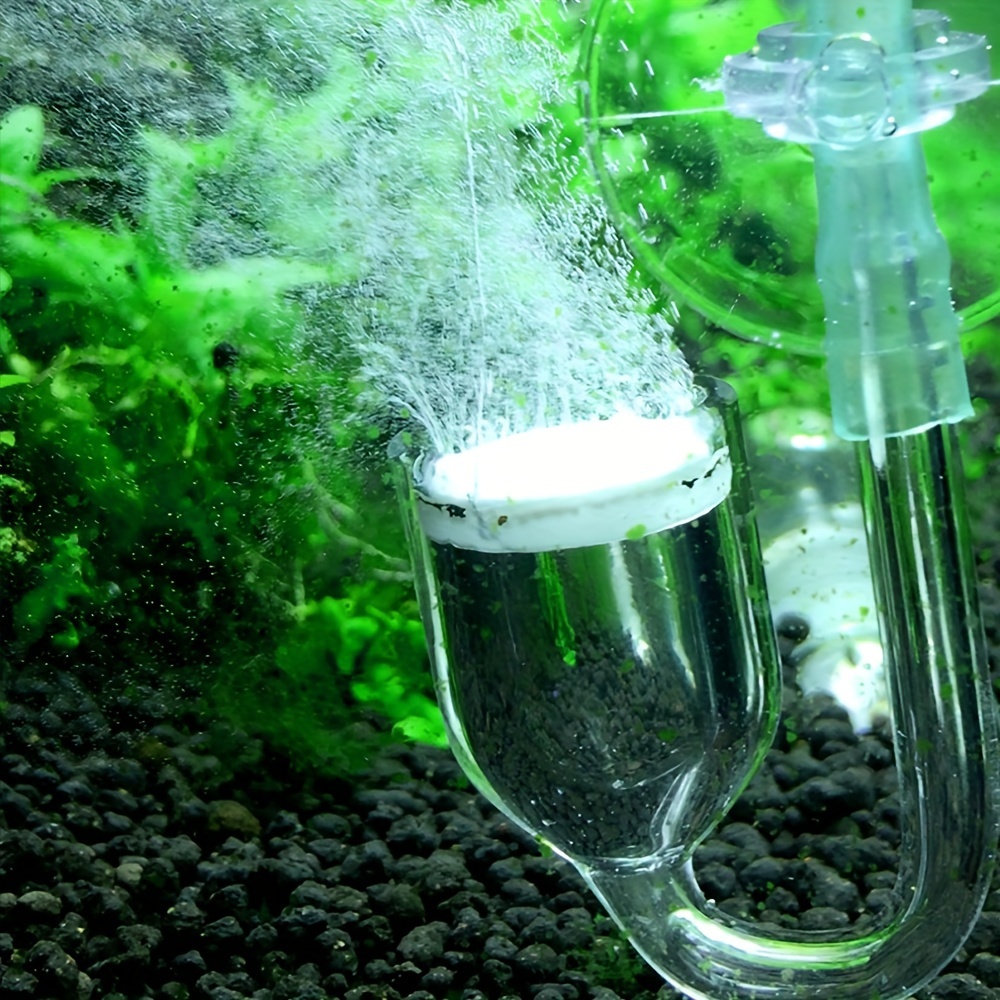 Aquarium Glass CO2 Atomizer Di - Co2 Diffuser Planted ulasan dan harga