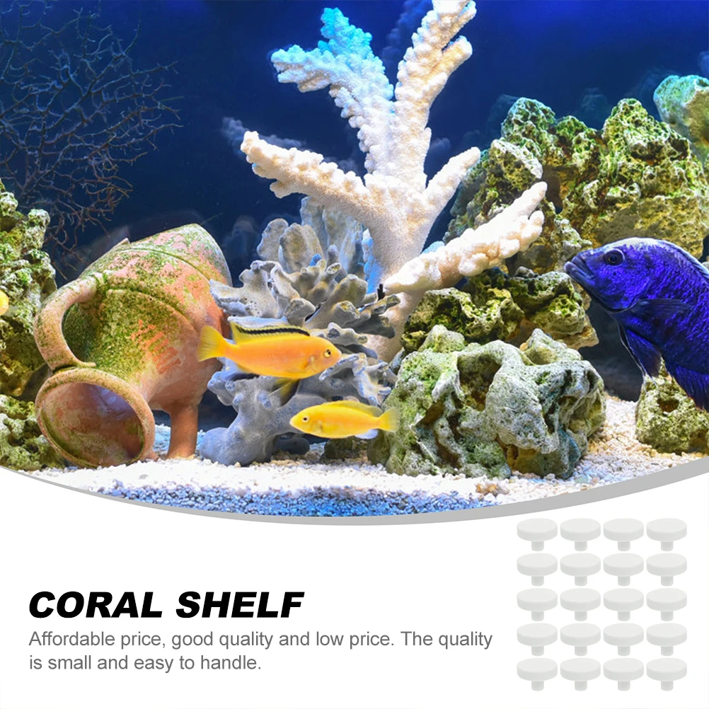 20Pcs Coral Glue Reef Safe Cor - Aquarium Fish Reproduction ulasan dan harga
