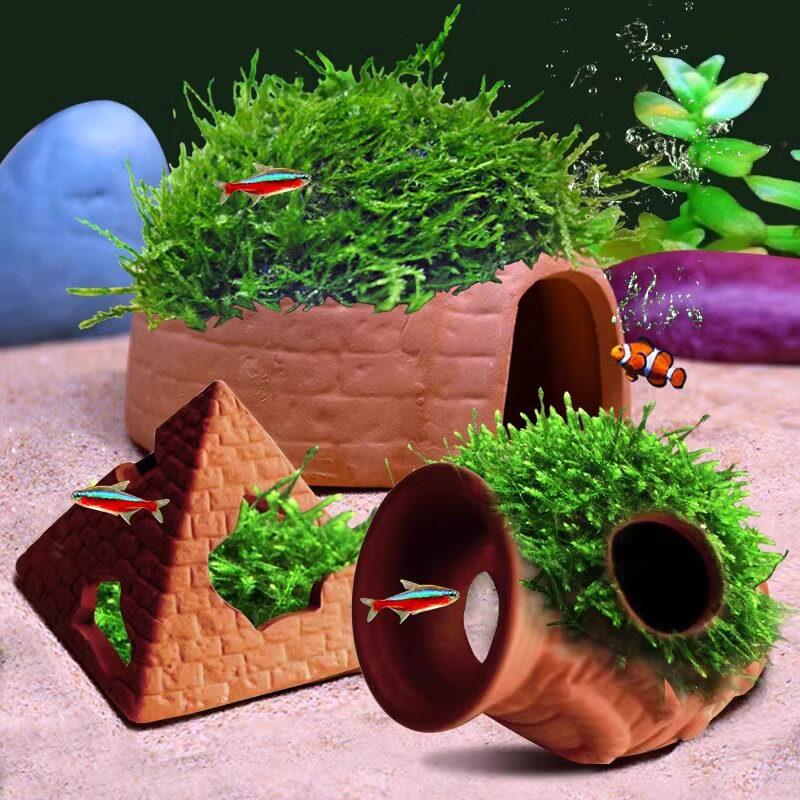 Clay Tank with Hiding Hole fo - Aquarium Fish Reproduction ulasan dan harga