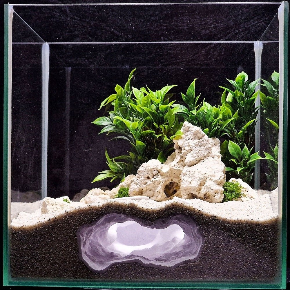 Highly Simulated Aquarium Fish - Aquarium Fish Reproduction ulasan dan harga