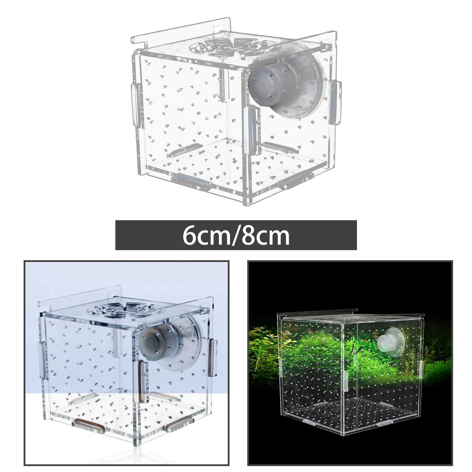 Fish Breeder Box Clear Durable - Aquarium Fish Jar ulasan dan harga