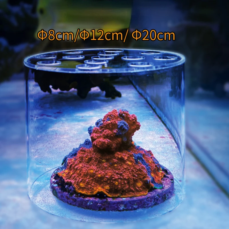 Vastocean Aquarium Arcylic Cor - Aquarium Fish Food ulasan dan harga