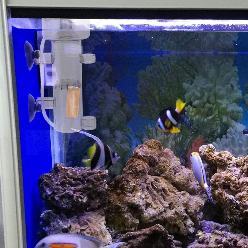 Protein Skimmer Acrylic Aquari - Aquarium Fish Accessories ulasan dan harga