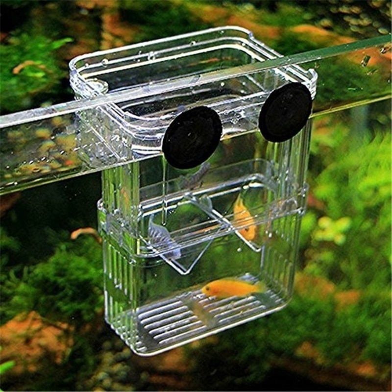 Multifunctional Fish Aquarium  - Aquarium Fish Jar ulasan dan harga