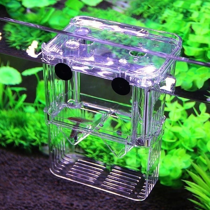Multifunctional Fish Aquarium  - Aquarium Fish Jar ulasan dan harga