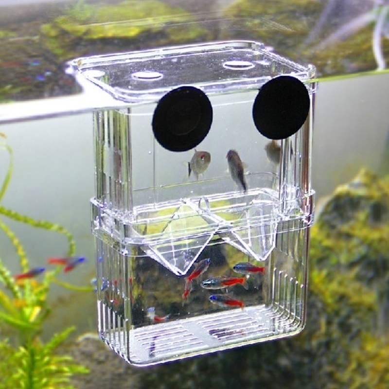 Multifunctional Fish Aquarium  - Aquarium Fish Jar ulasan dan harga