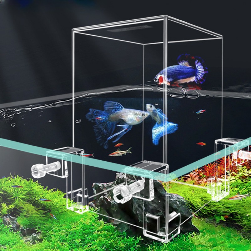 Creative Aquarium Tanks Negati - Aquarium Fish Jar ulasan dan harga