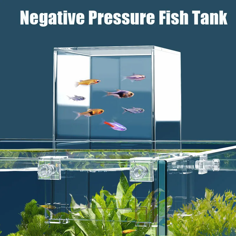Creative Aquarium Tanks Negati - Aquarium Fish Jar ulasan dan harga